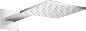 Overhead Shower 250/250 1jet With Shower Arm