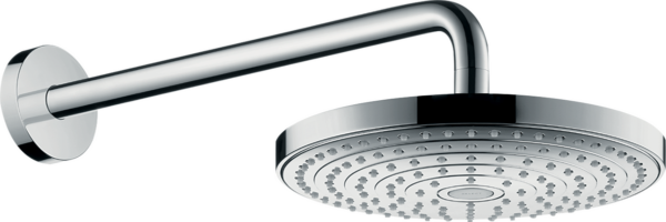 Raindance Select S 240 Overhead Shower 2jet