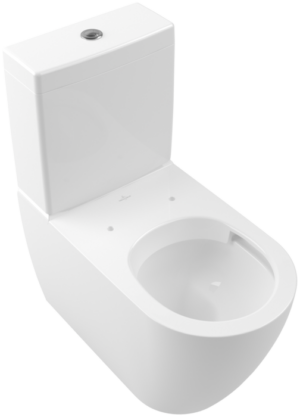 Subway Washdown WC For Close-Coupled WC Suite, Rimless