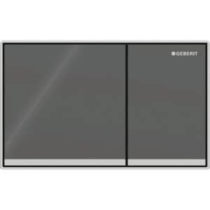 Omega 60 Dual Flush Plate, Surface-Even