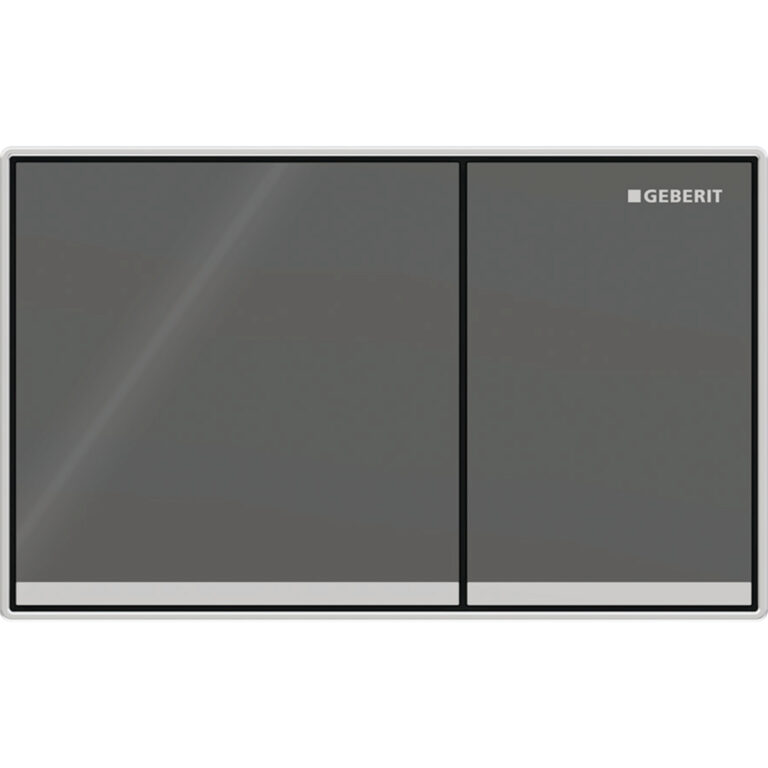 Omega 60 Dual Flush Plate, Surface-Even