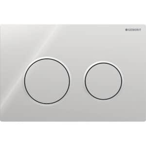 Omega 20 Dual Flush Plate