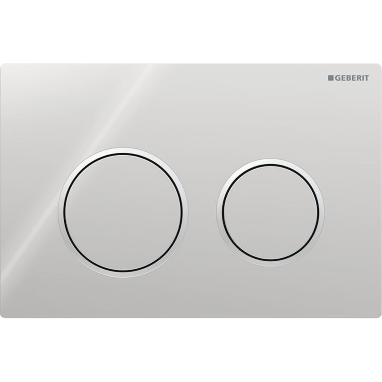 Omega 20 Dual Flush Plate