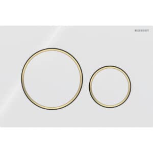 Sigma 20 Dual Flush Plate