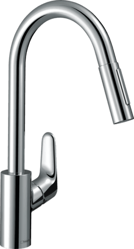 Focus 240 Kitchen Mixer With Pullout Spray