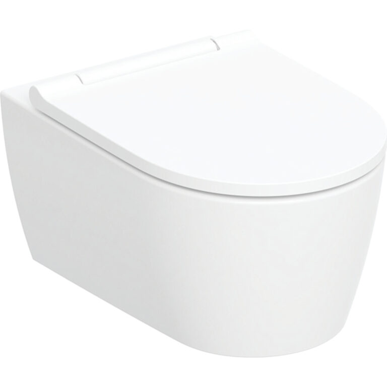 One Wall-Hung Toilet