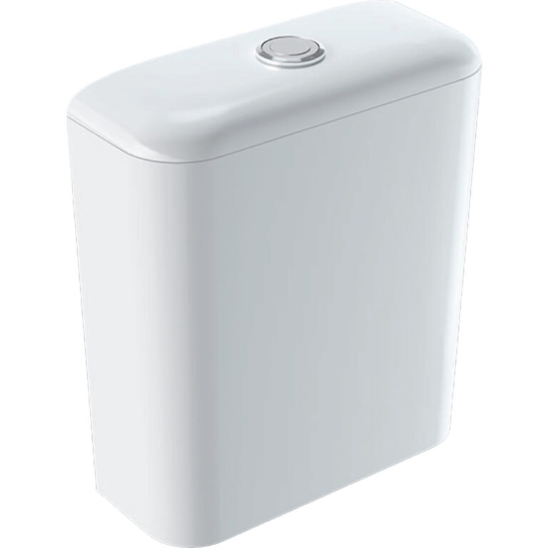 iCon Exposed Cistern, Close-Coupled, Dual Flush, Bottom Supply Connection