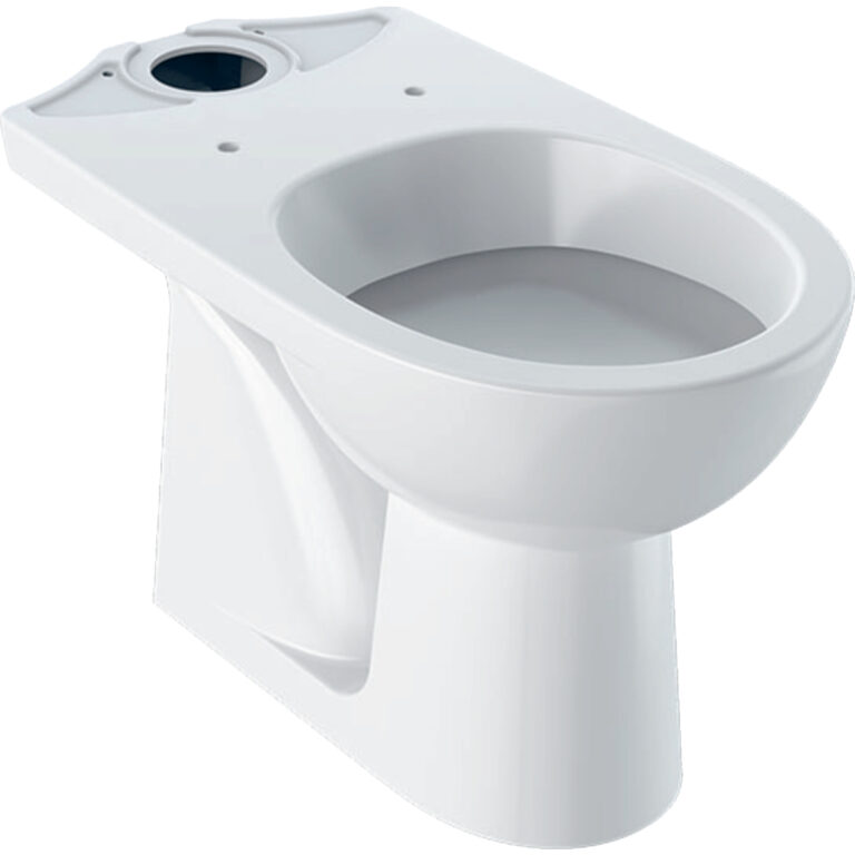 Geberit Selnova Floor-Standing WC for Close-Coupled Exposed Cistern, Washdown, Vertical Outlet