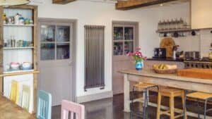 Charleston Vertical General Purpose Radiator - 2 Column