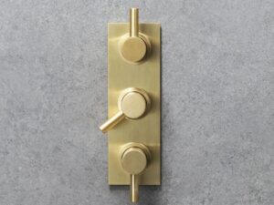 Swadling Absolute Double Controlled Thermostatic Shower Mixer