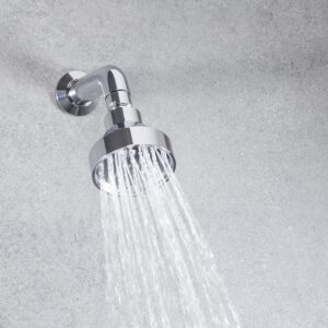 Swadling Absolute Titan Single-Function Shower Head on Short Curved Shower Arm