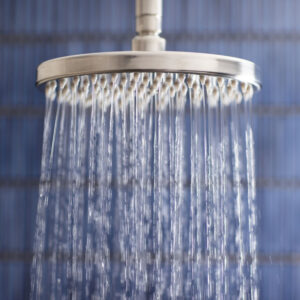 Swadling Absolute Deluge on Ceiling Arm