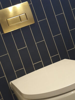 Armera Lagoon Back to Wall WC with Seat