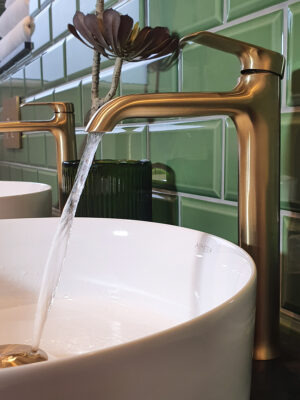 Armera Vaere Extended Single Lever Monobasin Mixer with Waste