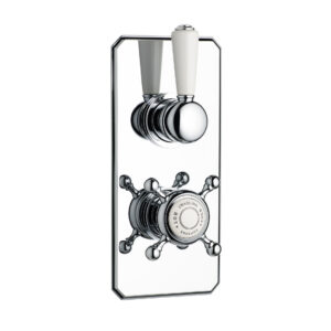 Swadling Invincible Single Controlled Thermostatic Shower Mixer with Plate
