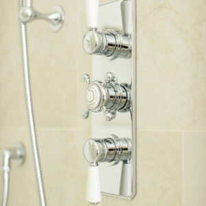 Swadling Invincible Double Controlled Thermostatic Shower Mixer with Plate