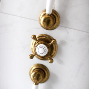 Swadling Invincible Double Controlled Thermostatic Shower Mixer without Plate
