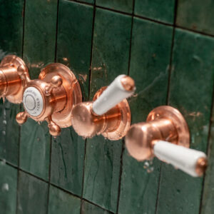 Swadling Invincible Triple Controlled Thermostatic Shower Mixer without Plate