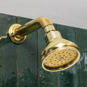 Swadling Invincible Titan Single-Function Shower Head on Short Curved Shower Arm