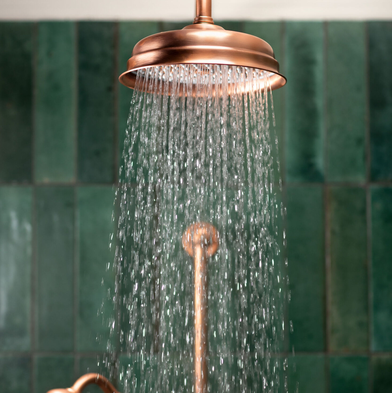 Swadling Invincible Deluge on Adjustable Ceiling Arm