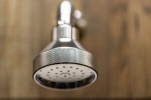Swadling Engineer Titan Single-Function Shower Head on Short Curved Shower Arm