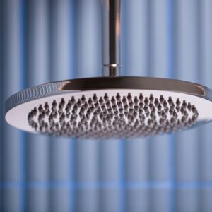 Swadling Engineer Deluge on Ceiling Arm