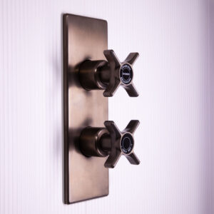 Swadling Illustrious Single Controlled Thermostatic Shower Mixer
