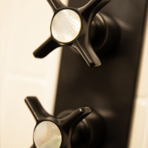 Swadling Illustrious Double Controlled Thermostatic Shower Mixer