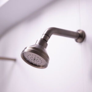 Swadling Illustrious Titan Single-Function Shower Head on Short Curved Shower Arm